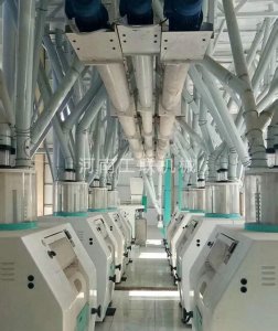 甘肅大型面粉機廠家：面粉機該如何保養延長使用時間？